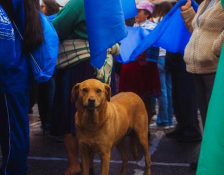 MARCHA 16 DE SEPTIEMBRE Foto455