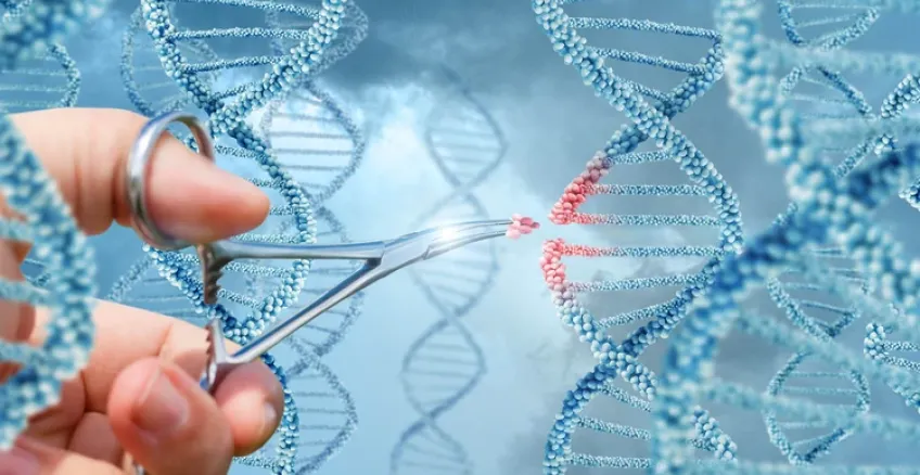 Tratamiento génico prometedor en tumores cerebrales infantiles