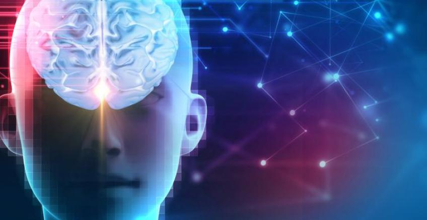 Así hace el cerebro humano para predecir el futuro