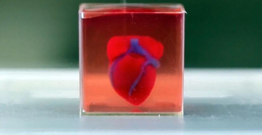 Investigadores israelíes desarrollaron un corazón vivo impreso en 3D con tejido humano