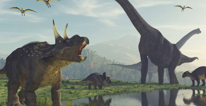 ¿Nueva especie de dinosaurios en la Patagonia?